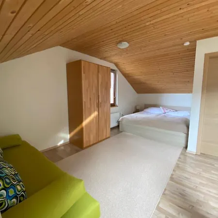 Apartma Regina Slovenj Gradec Extérieur photo